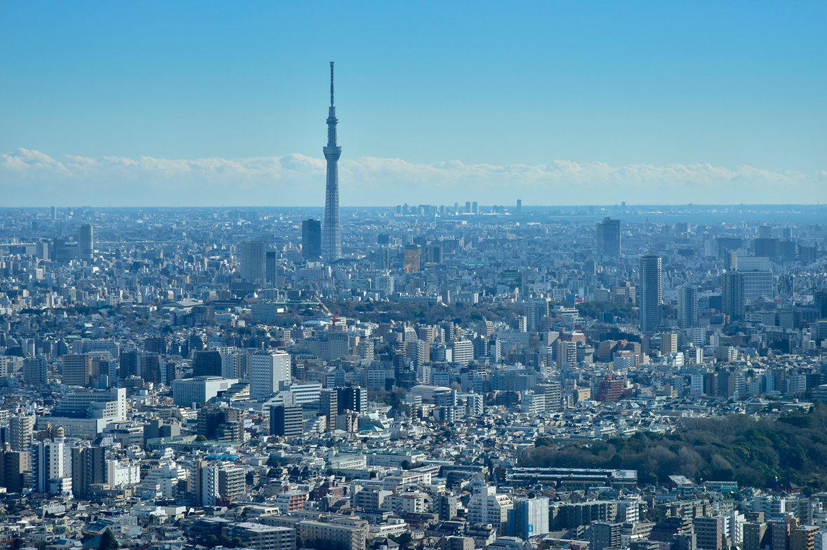 スカイツリーが見える東京の街並み